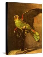 Green Parrot on Perch, 1886-Vincent van Gogh-Stretched Canvas