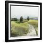 Green Pastoral Landscape-Allison Pearce-Framed Art Print