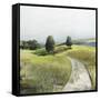 Green Pastoral Landscape-Allison Pearce-Framed Stretched Canvas