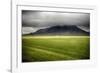 Green Pastures of Iceland-George Oze-Framed Photographic Print