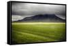 Green Pastures of Iceland-George Oze-Framed Stretched Canvas