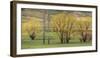 Green pastures with trees, Morocco-Art Wolfe-Framed Photographic Print