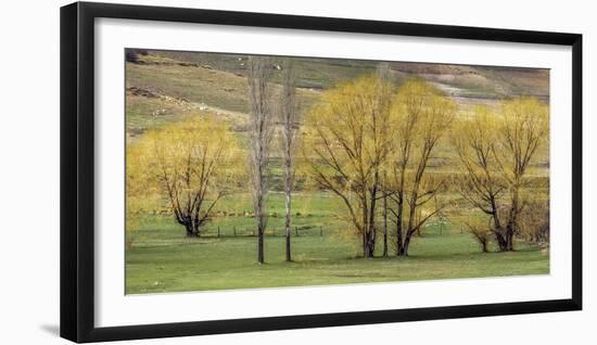 Green pastures with trees, Morocco-Art Wolfe-Framed Photographic Print