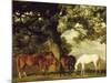 Green Pastures-George Stubbs-Mounted Premium Giclee Print