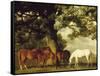 Green Pastures-George Stubbs-Framed Stretched Canvas