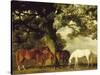 Green Pastures-George Stubbs-Stretched Canvas