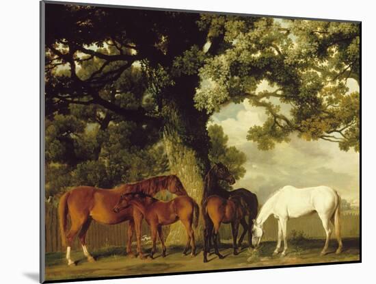 Green Pastures-George Stubbs-Mounted Art Print