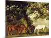 Green Pastures-George Stubbs-Mounted Premium Giclee Print