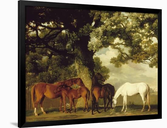 Green Pastures-George Stubbs-Framed Premium Giclee Print