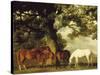 Green Pastures-George Stubbs-Stretched Canvas