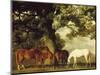Green Pastures-George Stubbs-Mounted Art Print