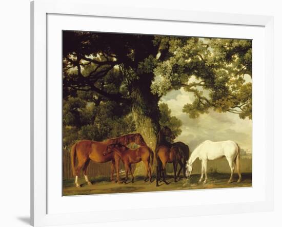 Green Pastures-George Stubbs-Framed Art Print