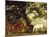 Green Pastures-George Stubbs-Mounted Art Print