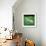 Green Patch-Sydney Edmunds-Framed Giclee Print displayed on a wall