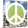 Green Peace-Jenny Kraft-Mounted Art Print