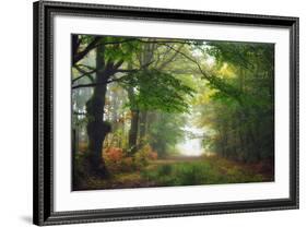 Green Peace-Viviane Fedieu Daniel-Framed Photographic Print