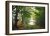 Green Peace-Viviane Fedieu Daniel-Framed Photographic Print