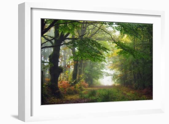 Green Peace-Viviane Fedieu Daniel-Framed Photographic Print