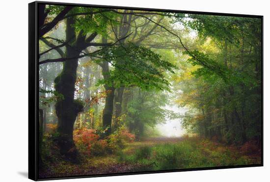 Green Peace-Viviane Fedieu Daniel-Framed Stretched Canvas