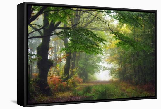 Green Peace-Viviane Fedieu Daniel-Framed Stretched Canvas