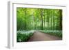 Green Peace-Nick Brundle Photography-Framed Photographic Print