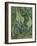 Green Peacock Moth (The Emperor Mot), 1889-Vincent van Gogh-Framed Premium Giclee Print