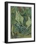 Green Peacock Moth (The Emperor Mot), 1889-Vincent van Gogh-Framed Premium Giclee Print