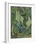 Green Peacock Moth (The Emperor Mot), 1889-Vincent van Gogh-Framed Premium Giclee Print