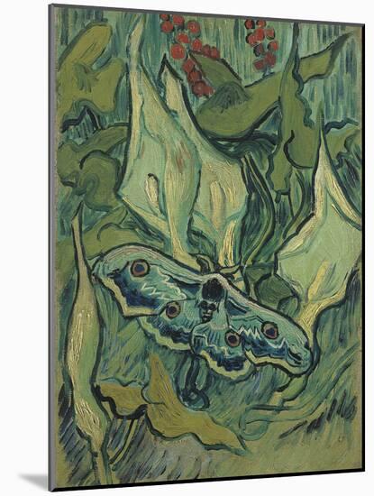 Green Peacock Moth (The Emperor Mot), 1889-Vincent van Gogh-Mounted Premium Giclee Print