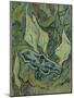 Green Peacock Moth (The Emperor Mot), 1889-Vincent van Gogh-Mounted Premium Giclee Print