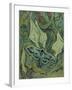 Green Peacock Moth (The Emperor Mot), 1889-Vincent van Gogh-Framed Giclee Print