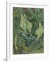 Green Peacock Moth (The Emperor Mot), 1889-Vincent van Gogh-Framed Giclee Print