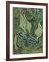 Green Peacock Moth (The Emperor Mot), 1889-Vincent van Gogh-Framed Giclee Print