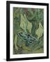 Green Peacock Moth (The Emperor Mot), 1889-Vincent van Gogh-Framed Giclee Print