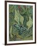 Green Peacock Moth (The Emperor Mot), 1889-Vincent van Gogh-Framed Giclee Print