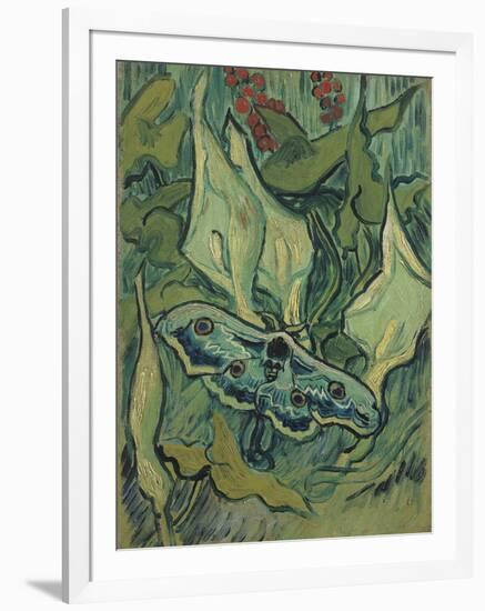 Green Peacock Moth (The Emperor Mot), 1889-Vincent van Gogh-Framed Giclee Print