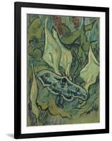 Green Peacock Moth (The Emperor Mot), 1889-Vincent van Gogh-Framed Giclee Print