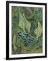 Green Peacock Moth (The Emperor Mot), 1889-Vincent van Gogh-Framed Giclee Print