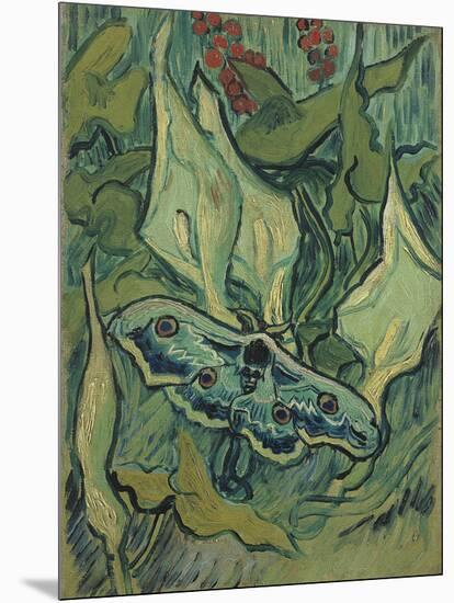 Green Peacock Moth (The Emperor Mot), 1889-Vincent van Gogh-Mounted Giclee Print