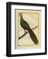 Green Peacock-Georges-Louis Buffon-Framed Giclee Print