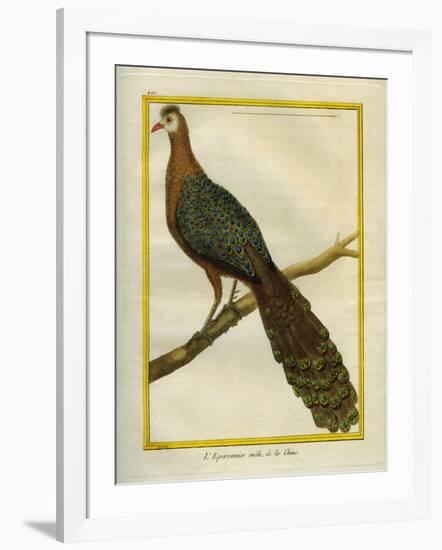 Green Peacock-Georges-Louis Buffon-Framed Giclee Print