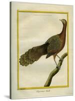 Green Peahen-Georges-Louis Buffon-Stretched Canvas