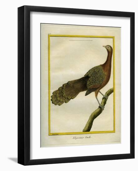 Green Peahen-Georges-Louis Buffon-Framed Giclee Print