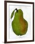 Green Pear on White Background-Blenda Tyvoll-Framed Art Print