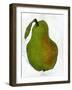 Green Pear on White Background-Blenda Tyvoll-Framed Art Print