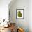 Green Pear on White Background-Blenda Tyvoll-Framed Art Print displayed on a wall