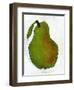 Green Pear on White Background-Blenda Tyvoll-Framed Art Print