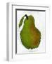 Green Pear on White Background-Blenda Tyvoll-Framed Art Print