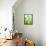 Green Pears-Maja Smend-Framed Stretched Canvas displayed on a wall