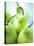 Green Pears-Maja Smend-Stretched Canvas